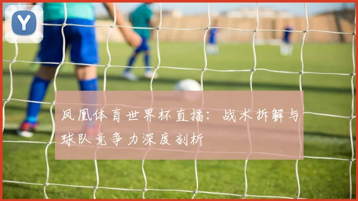 凤凰体育世界杯直播：战术拆解与球队竞争力深度剖析